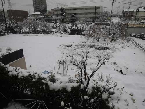 雪の朝3.jpg